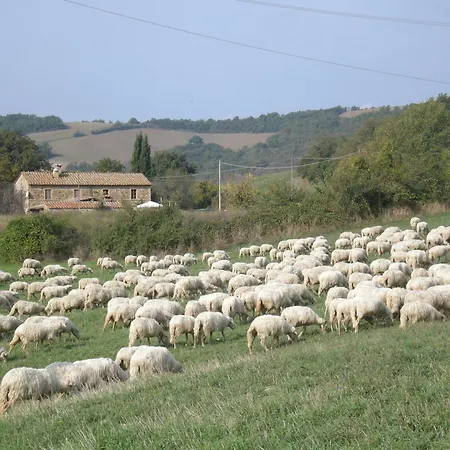 San Domenico-il Roseto Apartman Radicondoli