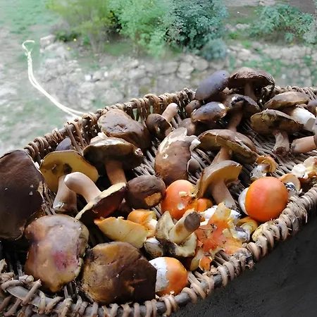 San Domenico-il Roseto Apartman