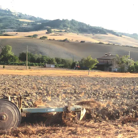 San Domenico-il Roseto