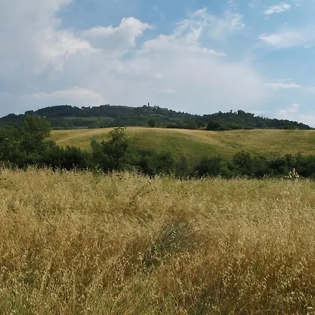 San Domenico-il Roseto