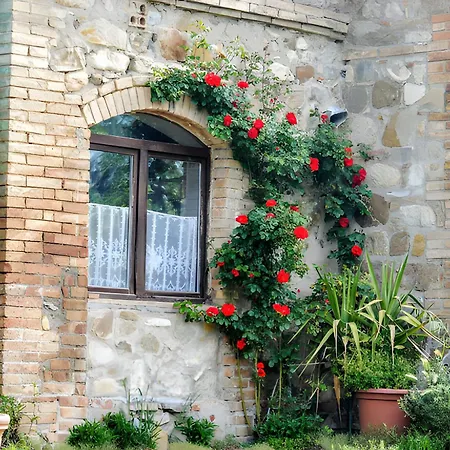 San Domenico-il Roseto